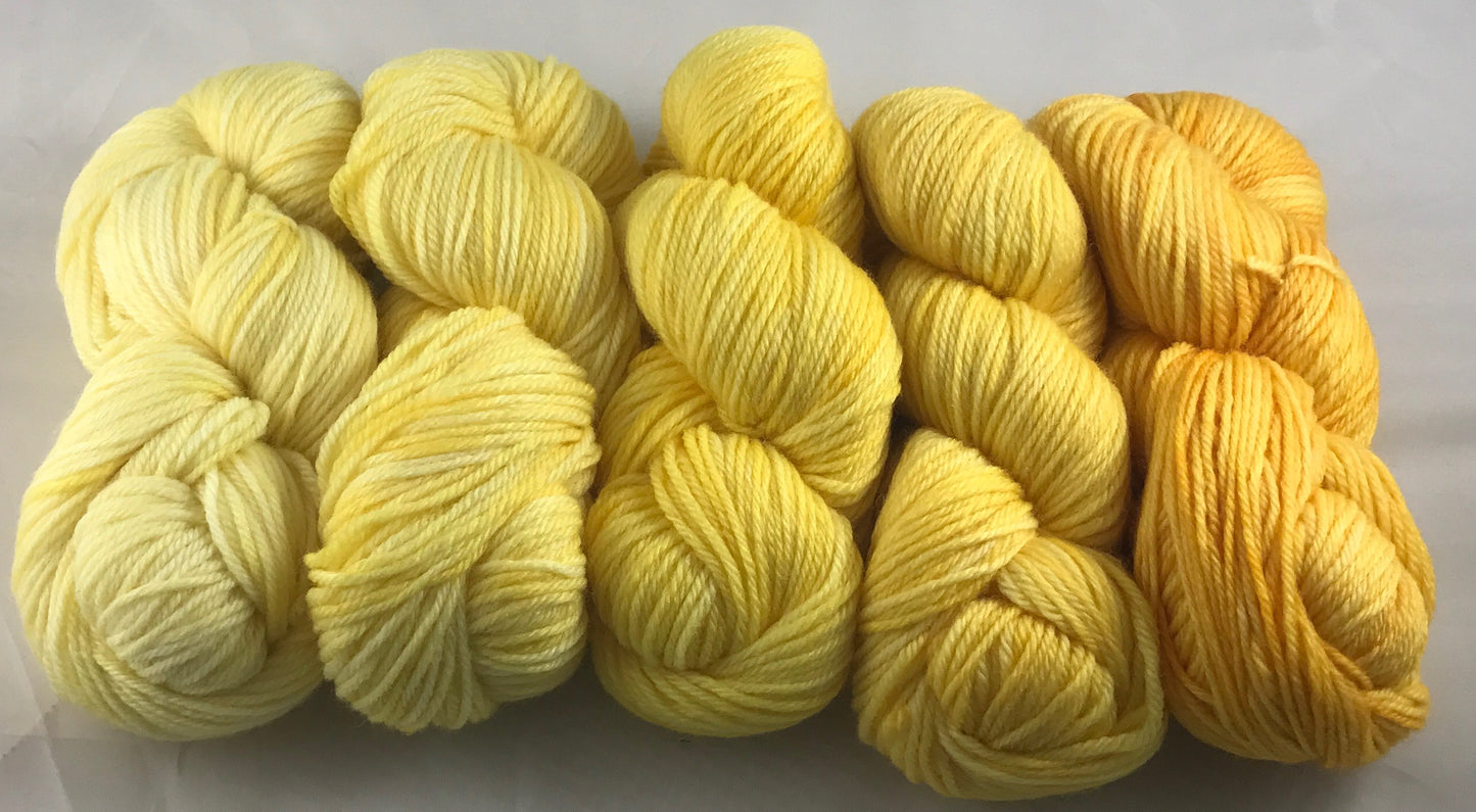 Daffodils