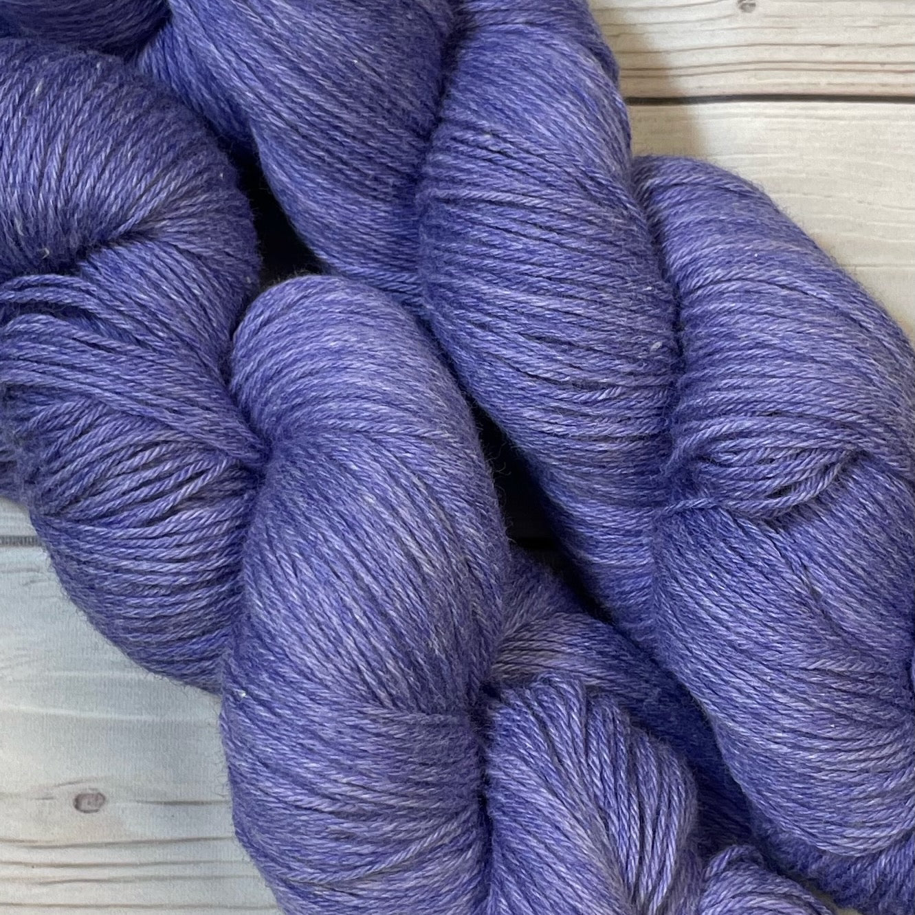Lavendula