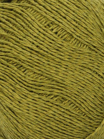 108 Olive