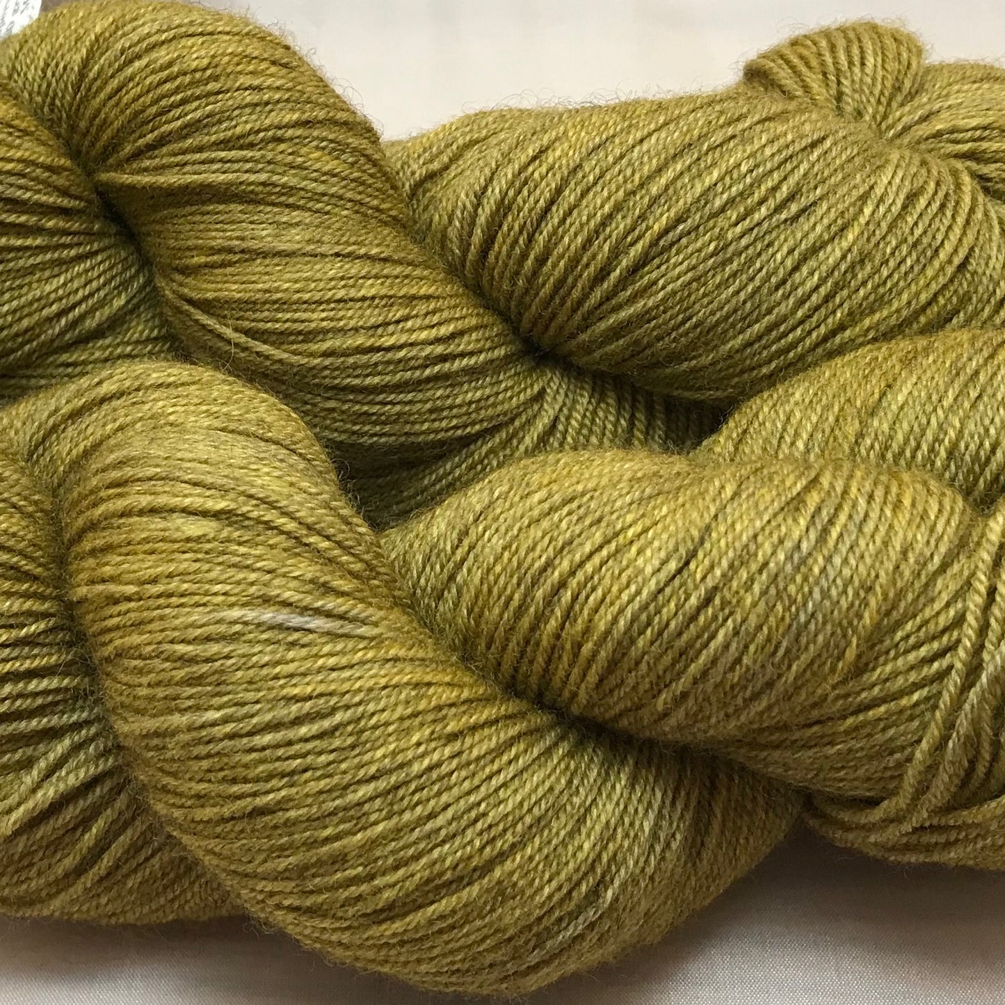 Golden Lichen
